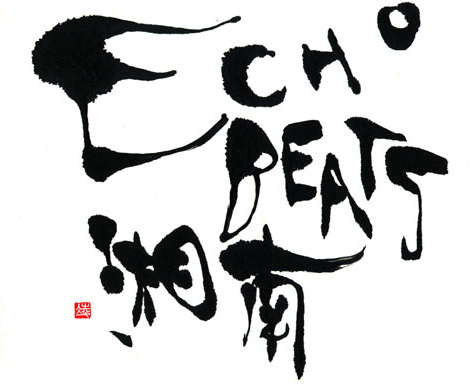 echo beats